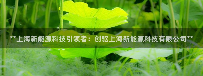 sunbet中国官网