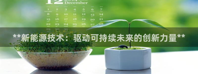 sunbet手机版官网下载