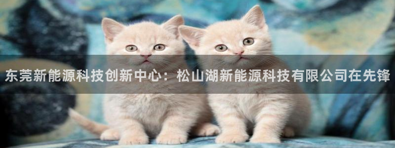 sunbet苹果app
