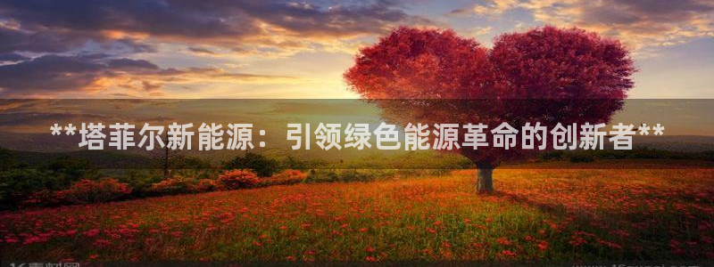 sunbet安卓下载