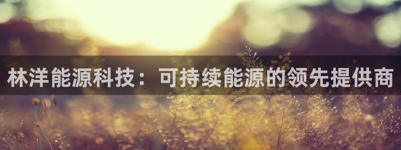 sunbet申搏平台