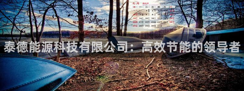 sunbet手机网页版下载
