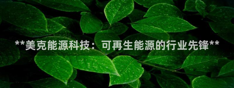 sunbet手机网页版本