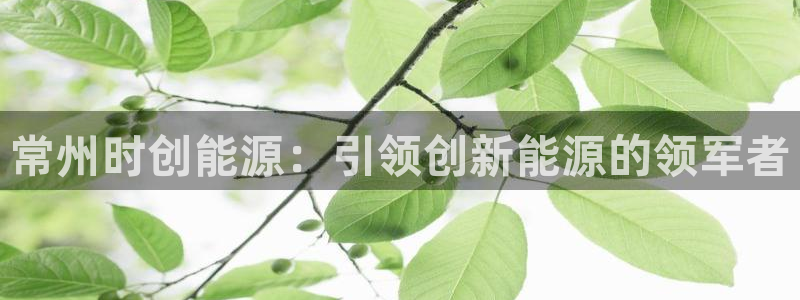sunbet燃气灶