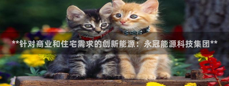 sunbet程序