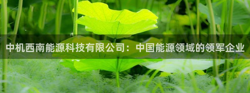 申博官方网站手机版下载