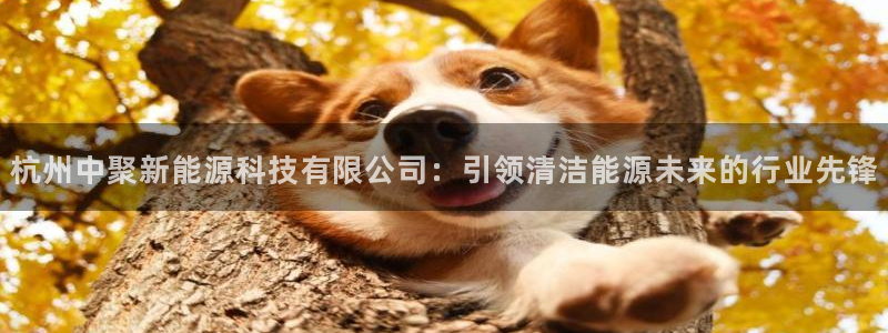 申博视讯