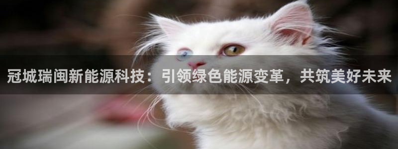 sunbet源码