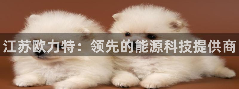 sunbet官网登录首页