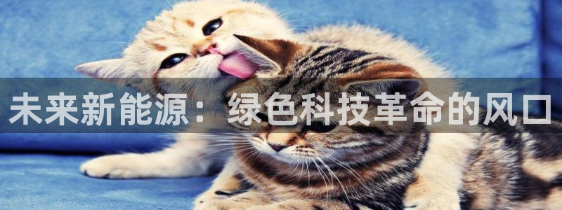 sunbet首页登录入口