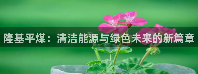 sunbet官网开户登录手机版