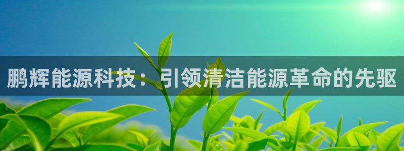 sunbet源码