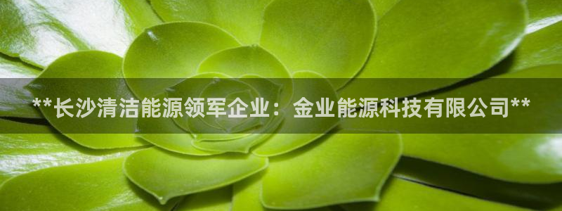 sunbet源码