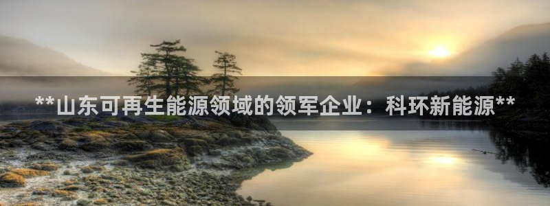 sunbet最新消息