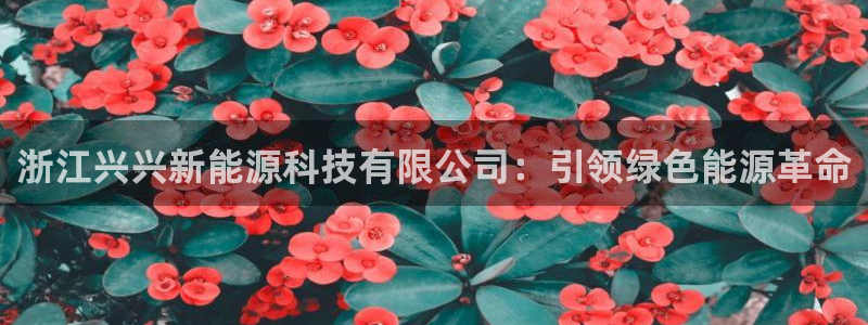 sunbething怎么读