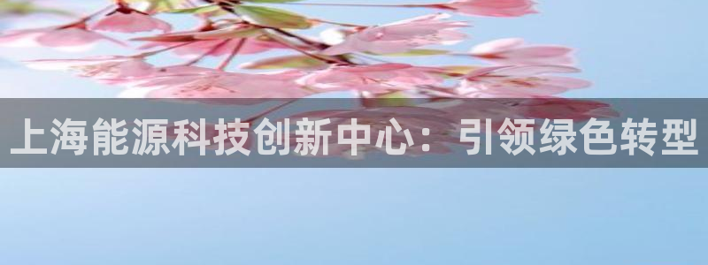 sunbet英语翻译