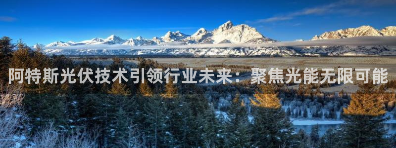 sunbet官网手机版登录