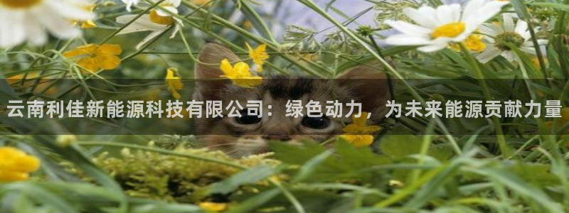 sunbet中文