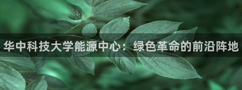 申博官网手机客户端