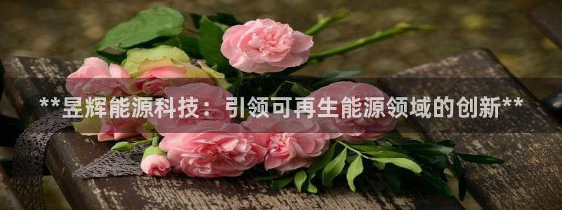 sunbet安卓下载