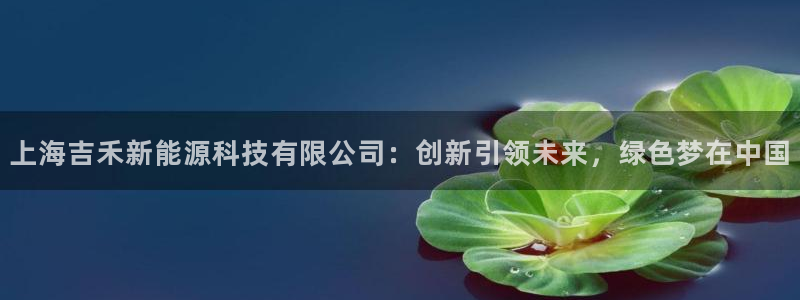 sunbet中文