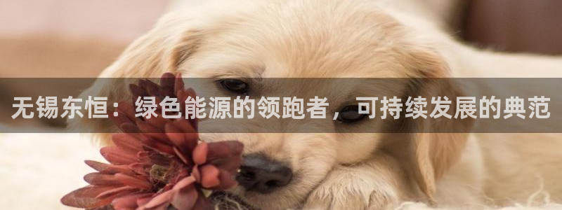sunbet手机网页版本