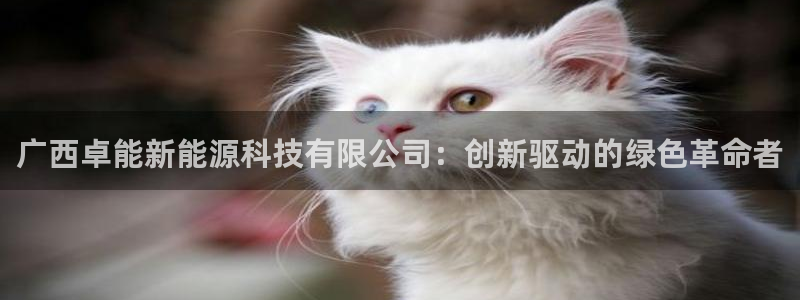 sunbet靠谱吗