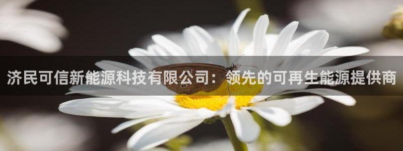 sunbet最新消息