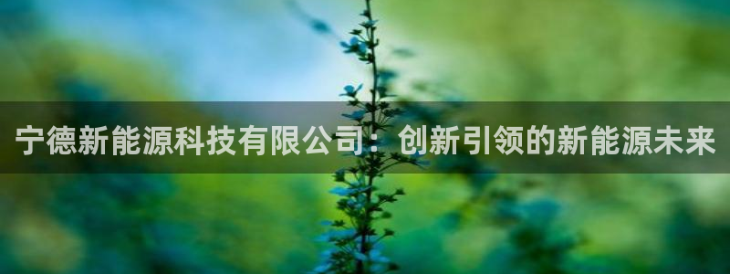 申博官网手机版下载app