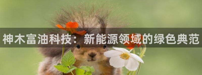 sunbet中文
