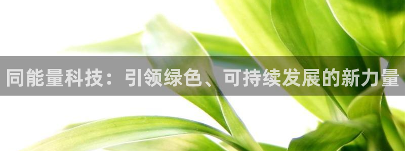 sunbet申搏官方网站