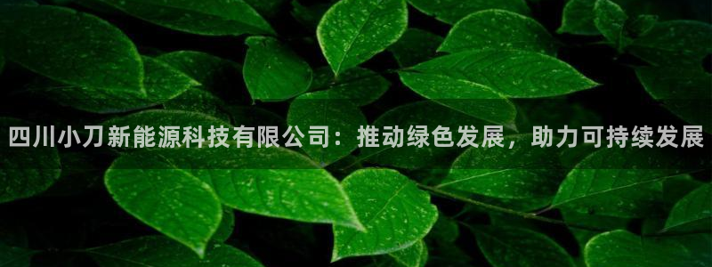 申博视讯