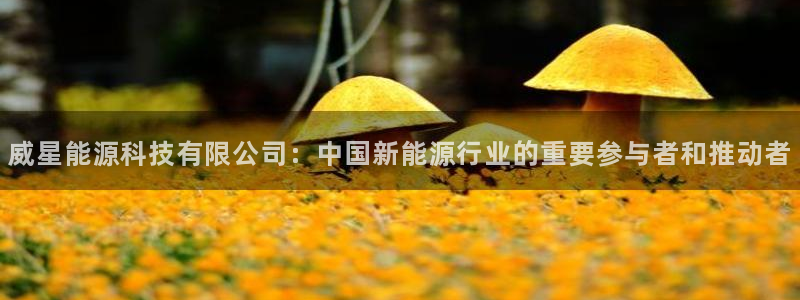 sunbet手机网页版下载