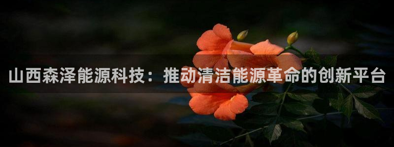 申博官网手机版下载app