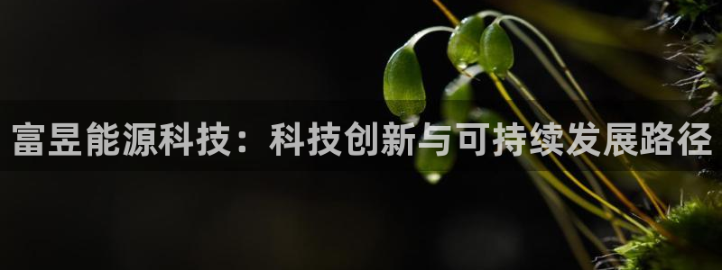 sunbet源码