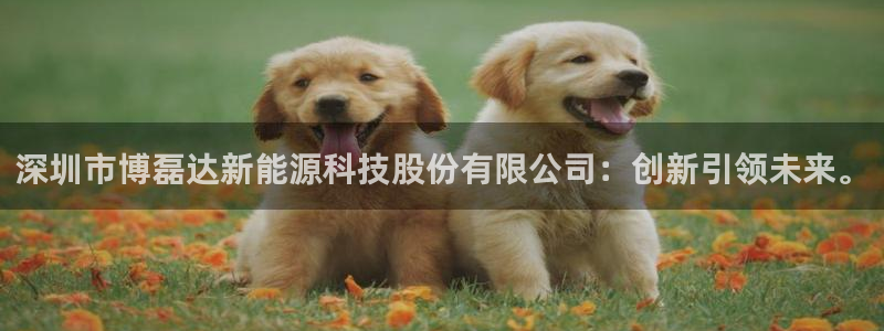 sunbet苹果官网下载