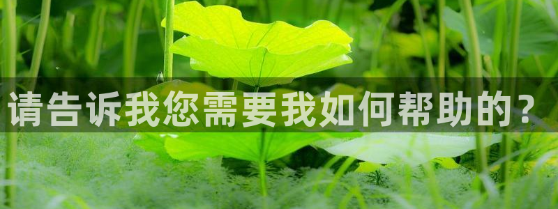sunbet苹果官网下载