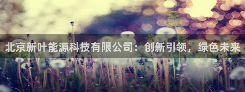 申博官网电脑版下载