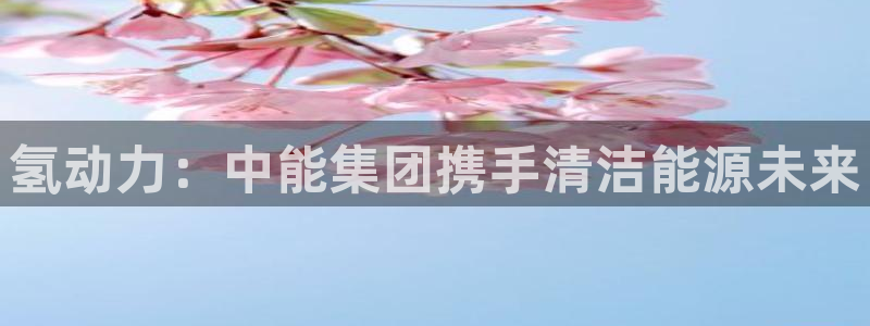 申博官方网站手机版下载