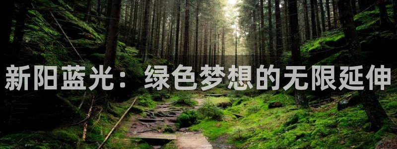 申博视讯