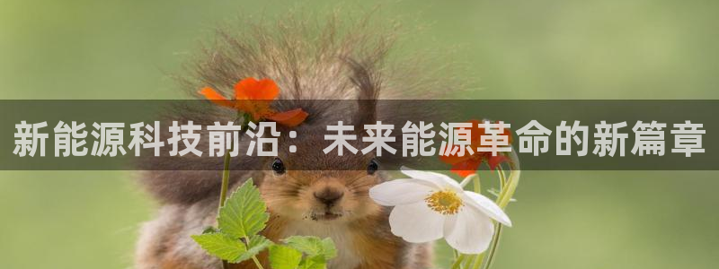 sunbet官网手机版