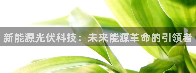 申博官网手机版下载app