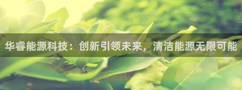 sunbet申搏官方网站