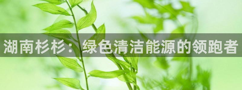sunbet申搏平台