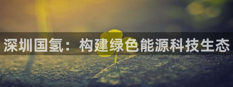 sunbet官网手机版