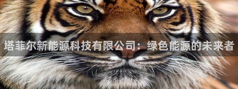 申博官方网站