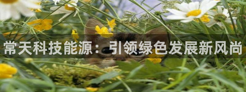 申博手机版app下载