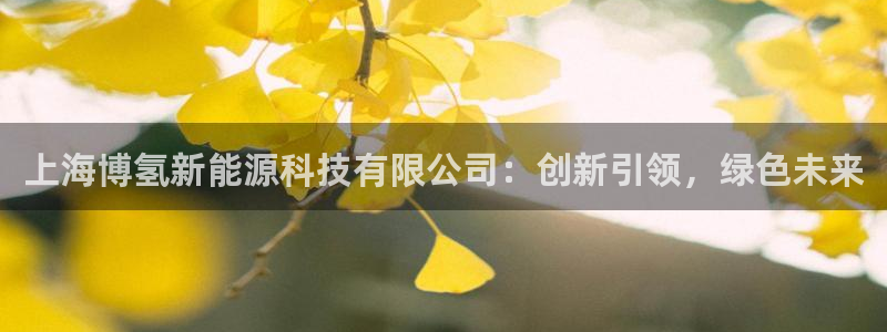 申博官网手机客户端