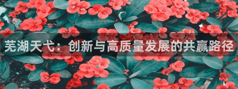 sunbet申搏app下载