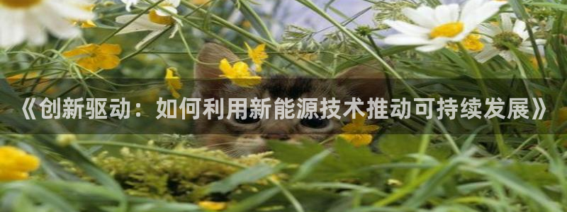 下载申搏sunbet并安装app